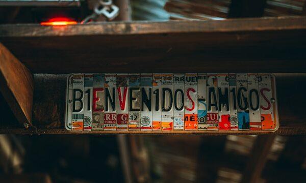 Amit ovadia yllpknps8kc unsplash