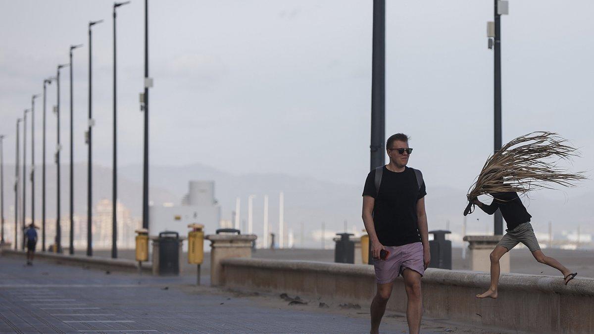 Aviso de Viento Fuerte en el Litoral e Interior Norte de Castellón: Precauciones y Recomendaciones