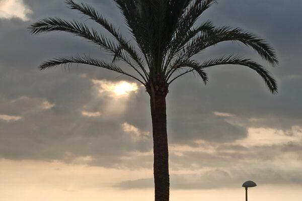 Pronóstico del tiempo: Cielo nuboso y chubascos en el litoral sur de Valencia y norte de Alicante