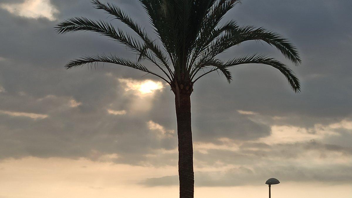 Pronóstico del tiempo: Cielo nuboso y chubascos en el litoral sur de Valencia y norte de Alicante