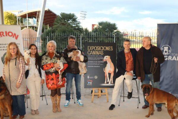 Torrent acogerá las Exposiciones Internacionales de Perros: ¡Todo lo que debes saber!