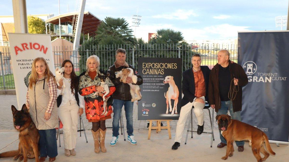 Torrent acogerá las Exposiciones Internacionales de Perros: ¡Todo lo que debes saber!