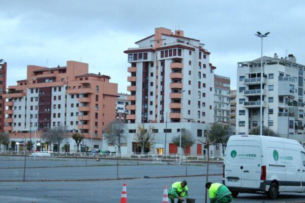 Castellón Inaugura su Nueva Zona de Bajas Emisiones: Un Proyecto Listo Antes de Navidad