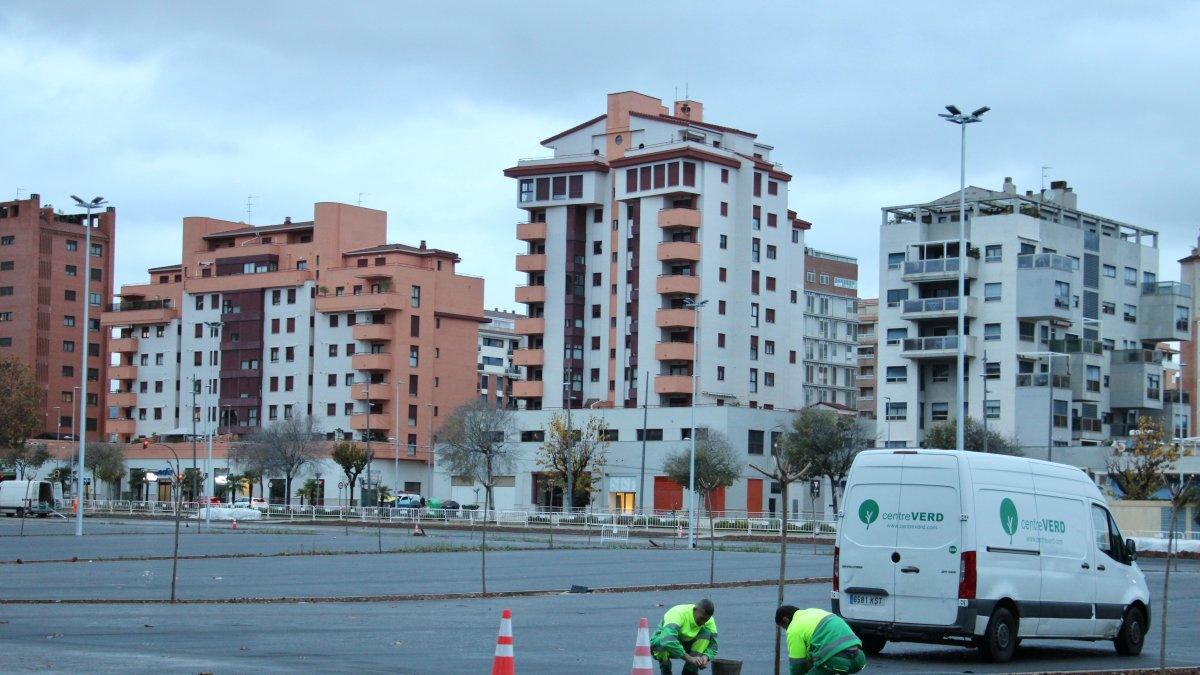 Castellón Inaugura su Nueva Zona de Bajas Emisiones: Un Proyecto Listo Antes de Navidad