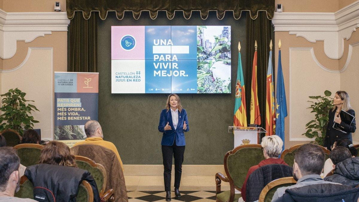 Colegios de Castellón Crean Oasis Climáticos para Mejorar el Entorno Escolar