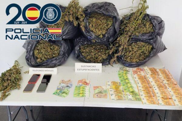 Desmantelan Cultivo Indoor de 615 Plantas de Marihuana y 23 Kilos de Cogollos en Petrer