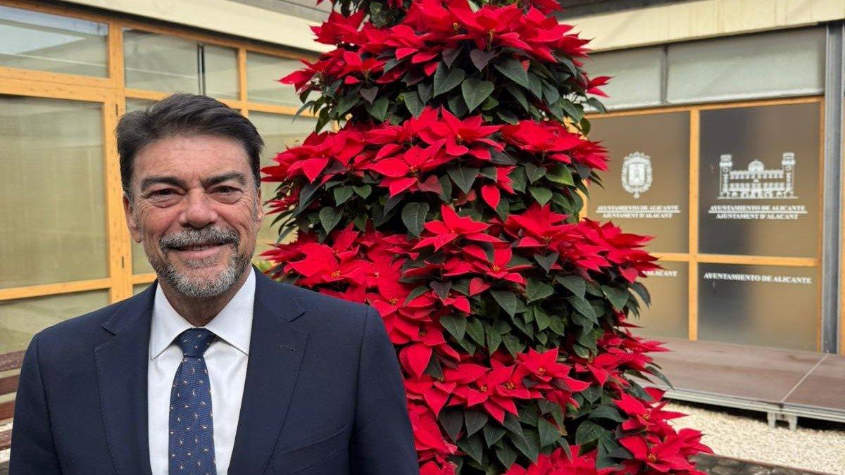 Alicante Experto en Empleo: El Gran Crecimiento Sostenido que Impulsa la Economía Local