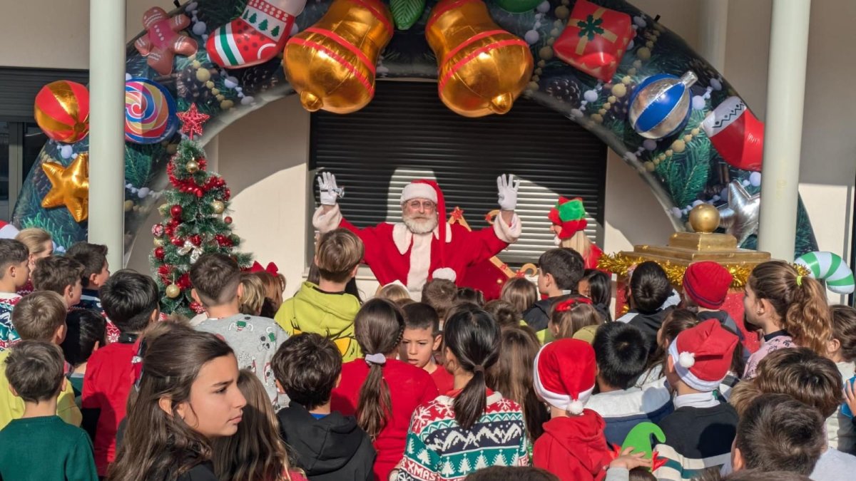 Cultivando la Magia de la Navidad: Ideas para Sembrar Ilusión en Estas Fiestas