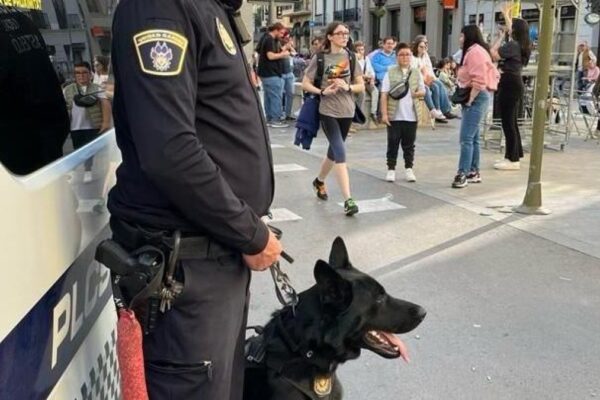 Castellón Intensifica la Seguridad para Nochevieja con un Operativo Innovador y Sin Precedentes