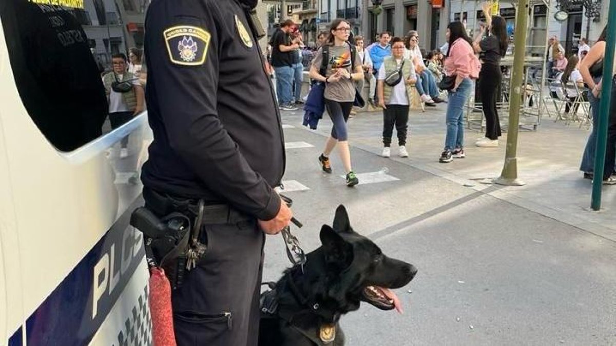 Castellón Intensifica la Seguridad para Nochevieja con un Operativo Innovador y Sin Precedentes