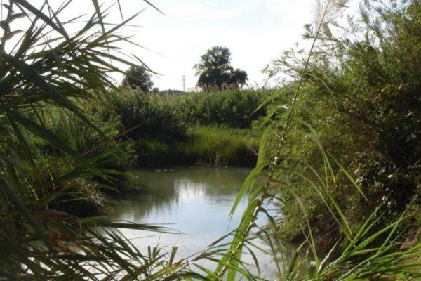 Digitalización del Agua en Paterna: 5 Estrategias Innovadoras para Combatir Eventos Climáticos Adversos
