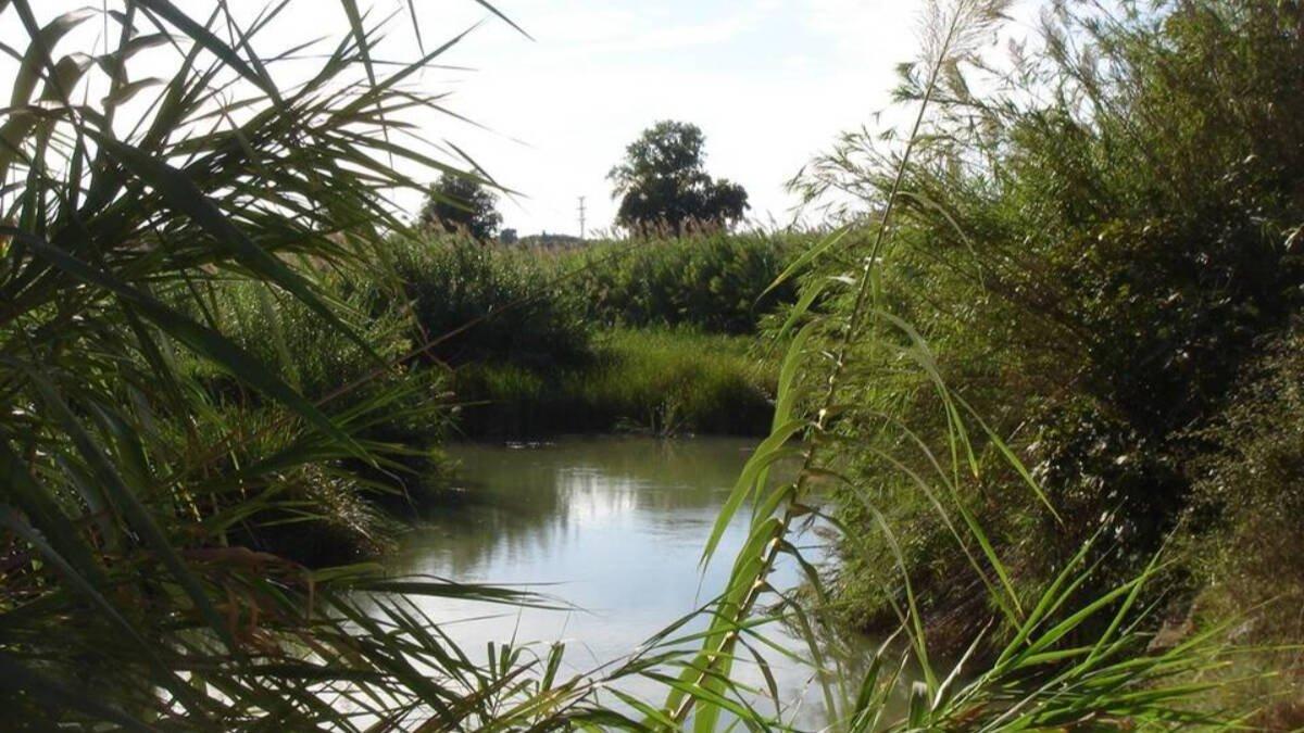 Digitalización del Agua en Paterna: 5 Estrategias Innovadoras para Combatir Eventos Climáticos Adversos