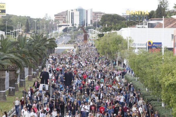 Cutanda denuncia la traición del PSPV a Alicante por rechazar la declaración de BIC para la Santa Faz
