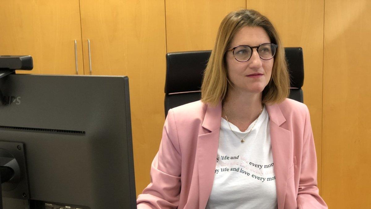 Alicante Asigna la Gestión de Actividades Extrascolares y Complementarias en Colegios: Todo lo que Debes Saber