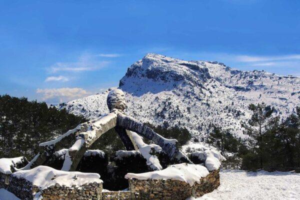 Descubre los Mejores Planes y la Agenda Cultural en Alicante para Enero