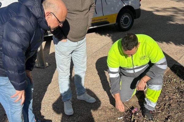 Albal lanza un operativo de control de plagas: ¡guerra total contra ratas y ratones!