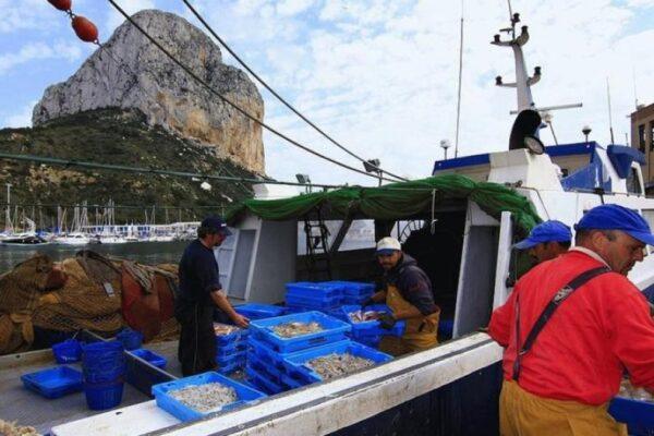 Sánchez y su impacto en la pesca valenciana: Nuevas normas que desatienden el Mediterráneo