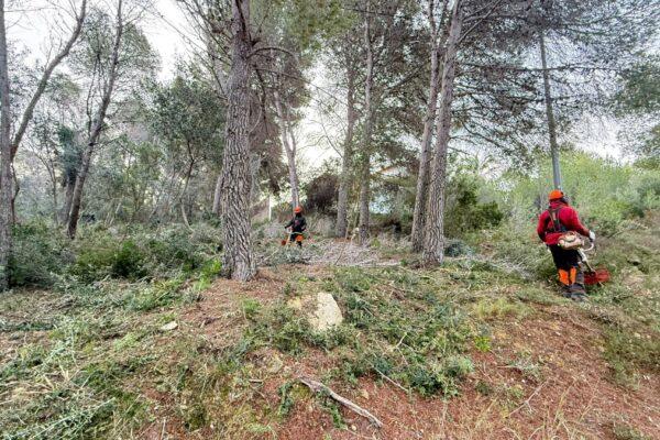 Xàbia intensifica sus esfuerzos para controlar incendios en invierno: intervenciones en el Camí Vell de Teulada
