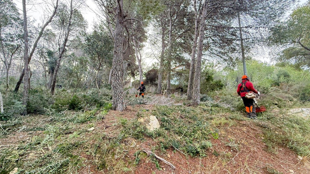 Xàbia intensifica sus esfuerzos para controlar incendios en invierno: intervenciones en el Camí Vell de Teulada