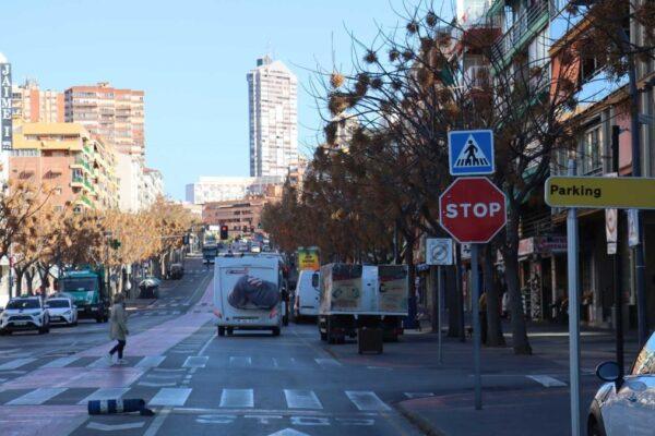 31 árboles serán talados para dar inicio a la construcción del parking Jaime I en Benidorm