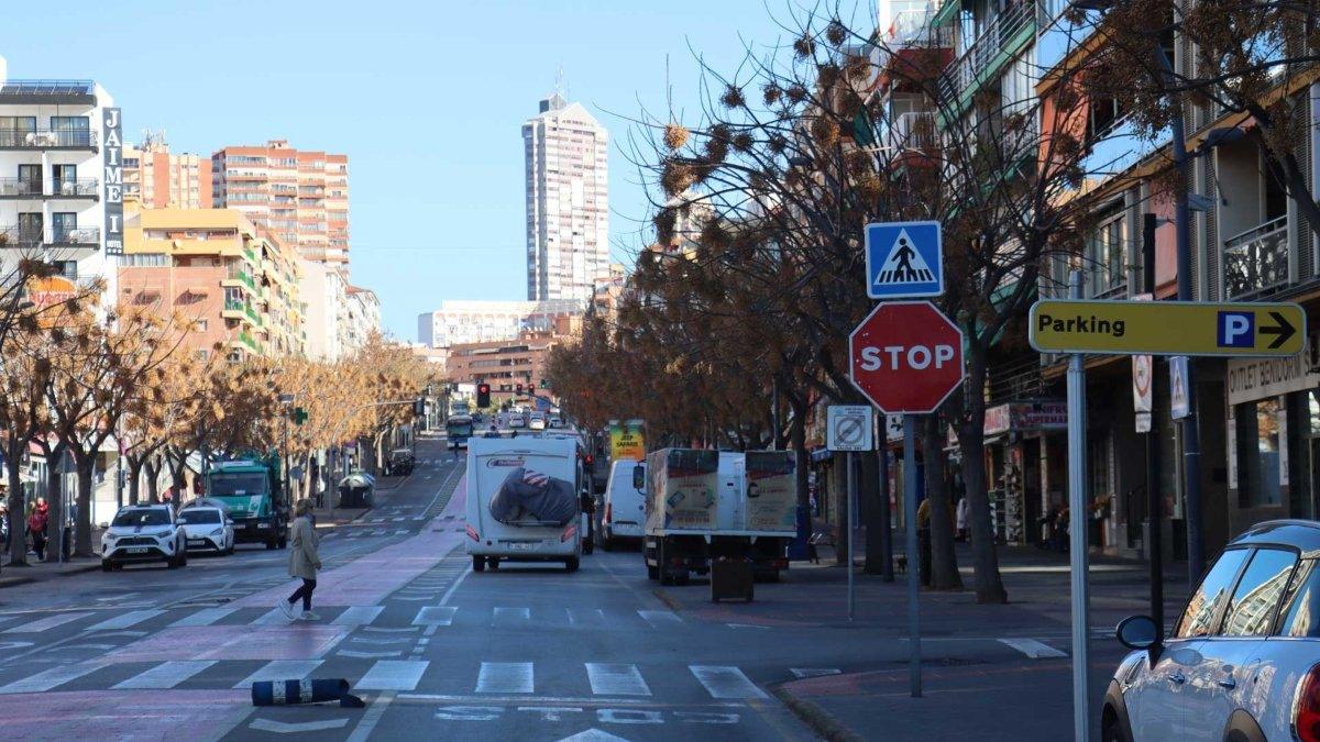 31 árboles serán talados para dar inicio a la construcción del parking Jaime I en Benidorm