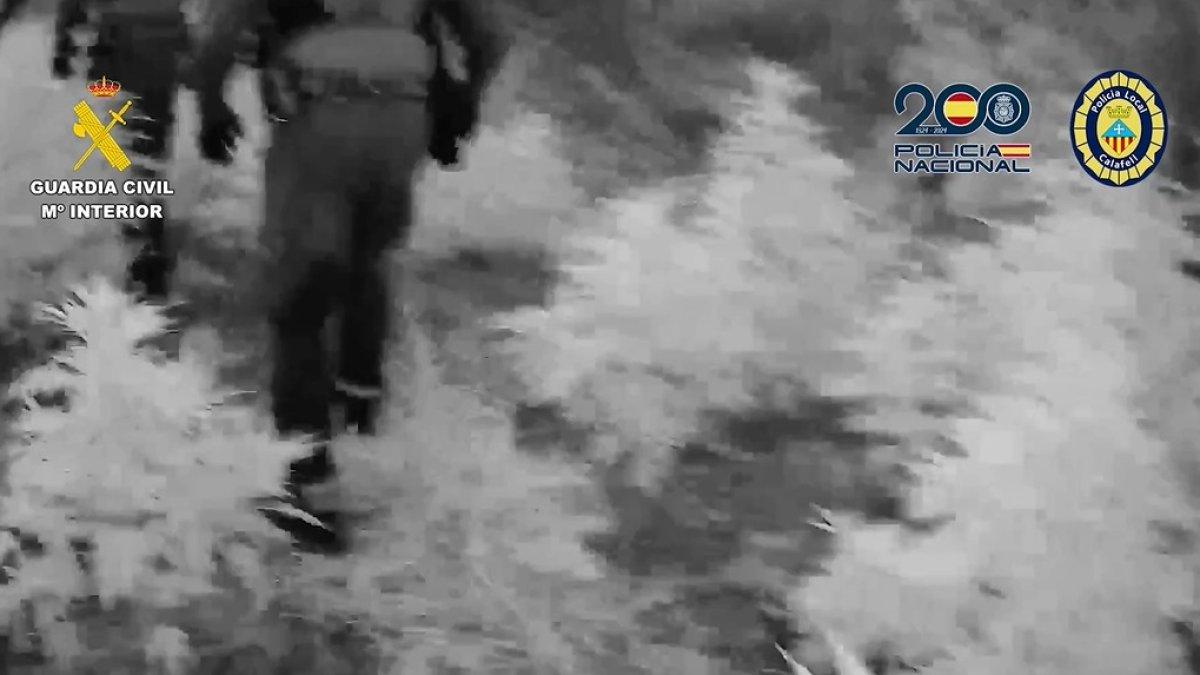 Descubre las Impactantes Plantaciones de Marihuana Ocultas en Alicante y Tarragona: Un Increíble Reportaje Policial