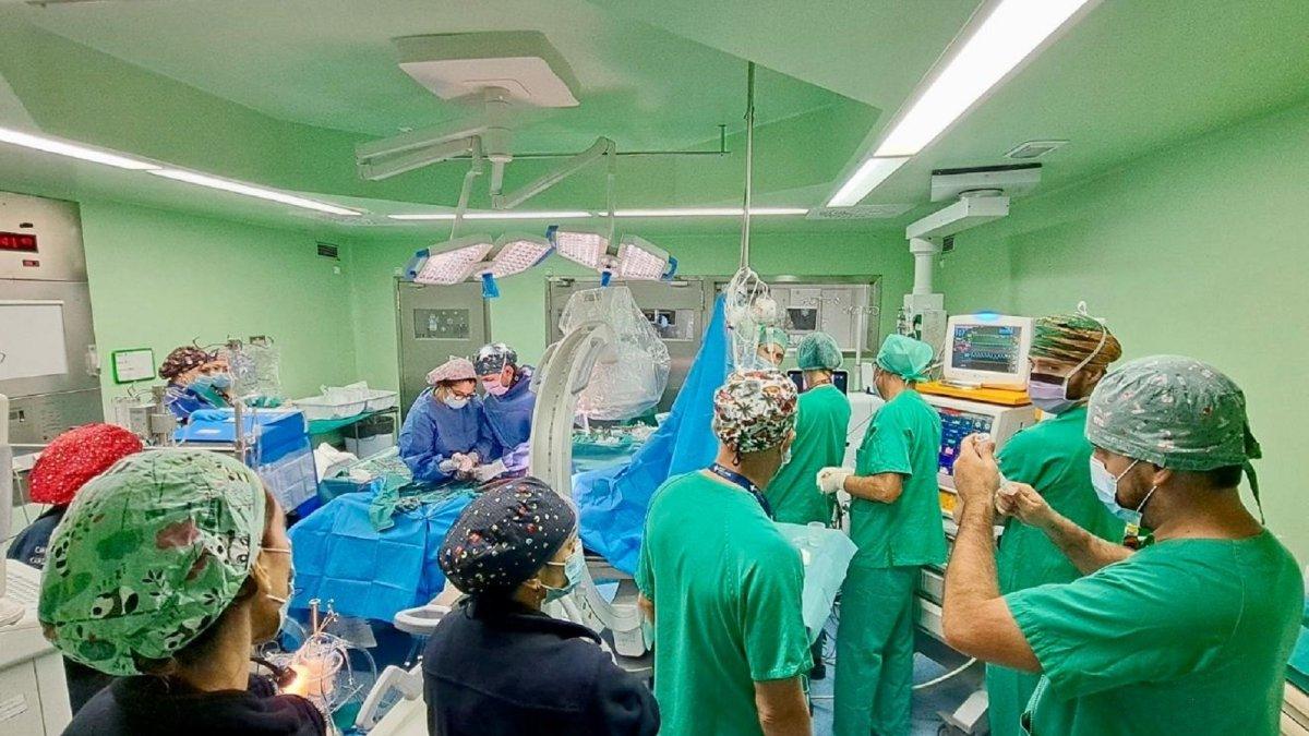Hospital Doctor Balmis: Líder en Trasplantes con un Aumento del 1000% en Pacientes Beneficiados para
