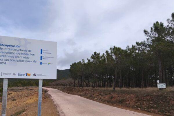 Reparación de 10 Kilómetros de Pistas Forestales en Pina de Montalgrao tras Daños por Lluvias: Trabajo de la Generalitat