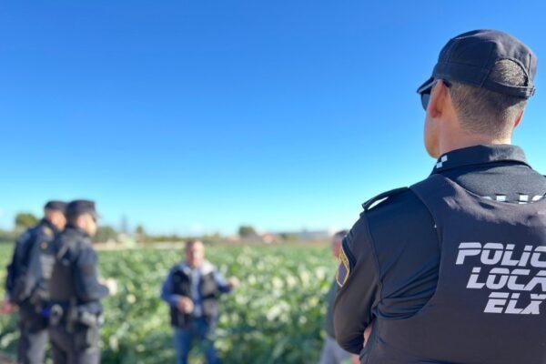 Operativo Policial en Elche: Protección de Alcachofas Durante la Campaña de Recolección para Evitar Robos