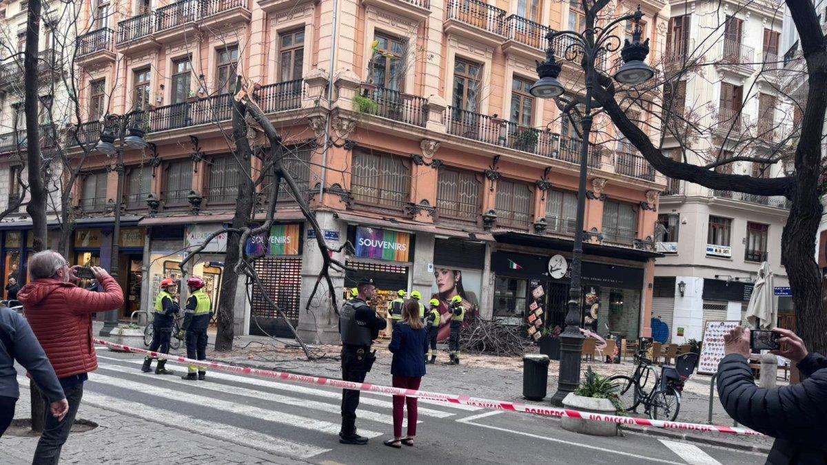 Impactante caída de árbol en el centro de Valencia: dos heridos por el fuerte viento