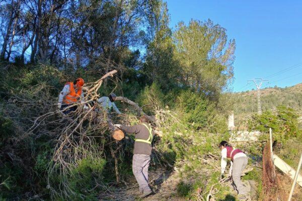 Fuerte viento causa caos en Xàtiva: vallas caídas, chapas voladoras y árboles derribados