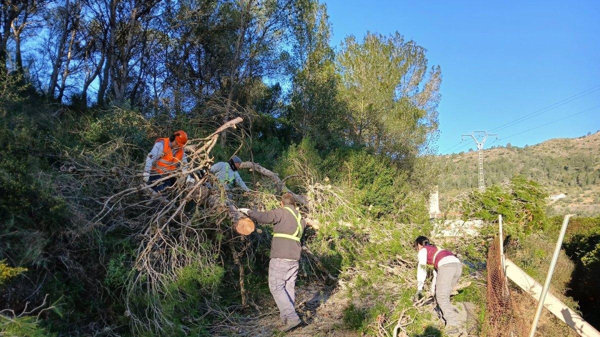 Fuerte viento causa caos en Xàtiva: vallas caídas, chapas voladoras y árboles derribados