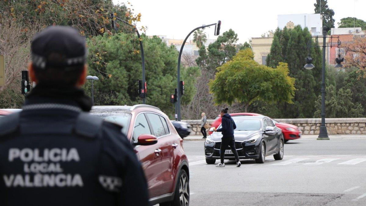 Valencia Lanza una Cruzada Contra los Gorrillas: Controles Rigurosos del Ayuntamiento para Erradicar su Actividad