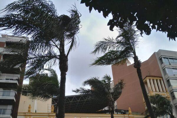 Torrent cierra parques, polideportivos y mercadillo por alerta de viento el sábado