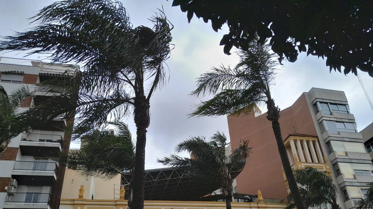 Torrent cierra parques, polideportivos y mercadillo por alerta de viento el sábado