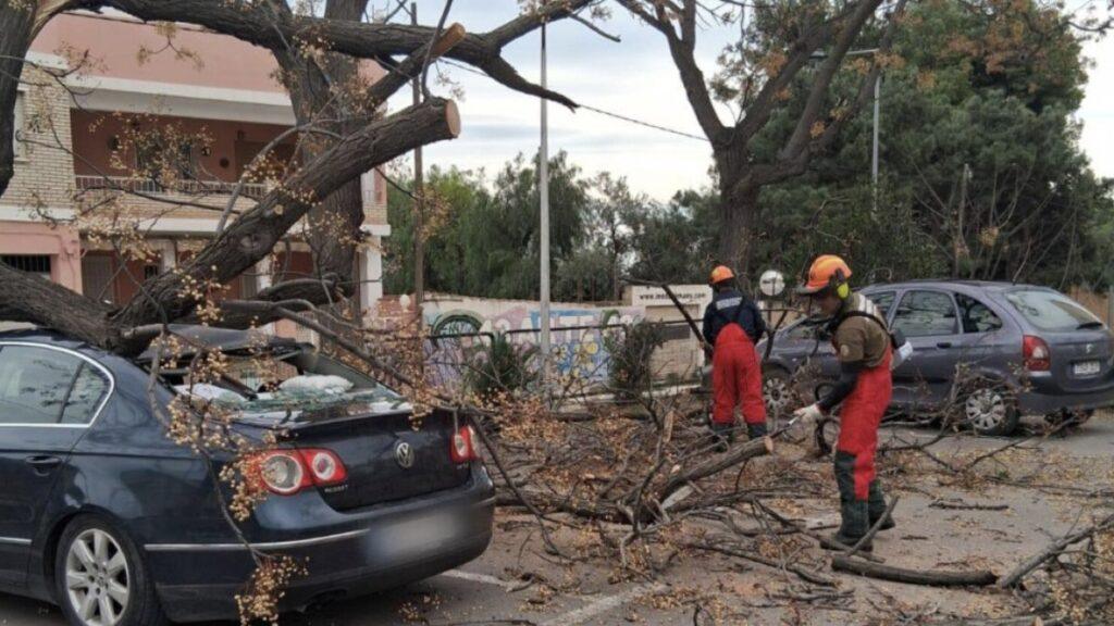 Emergencias atiende 1.681 incidencias por fuertes vientos: ¿Qué hacer ante la tormenta?