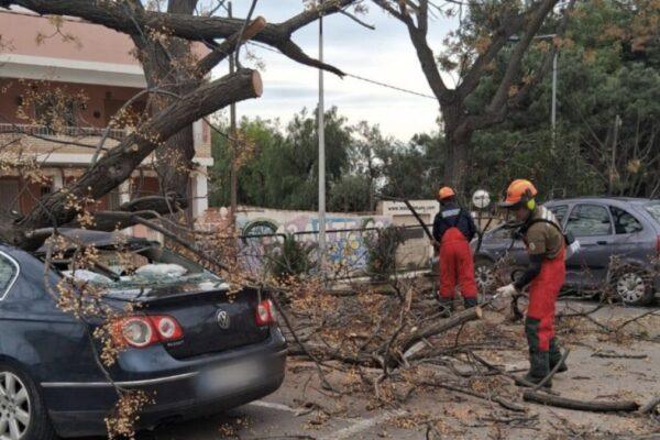 Emergencias atiende 1.681 incidencias por fuertes vientos: ¿Qué hacer ante la tormenta?
