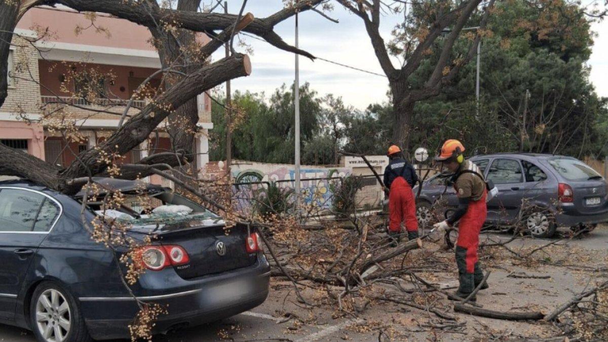 Emergencias atiende 1.681 incidencias por fuertes vientos: ¿Qué hacer ante la tormenta?