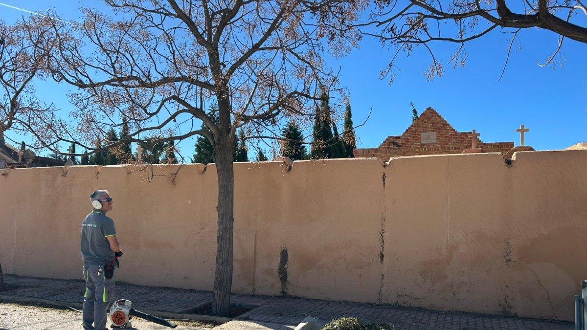 Elche amplía el cementerio de San Agatángelo: se añadirán 2.364 nichos para garantizar espacio vital
