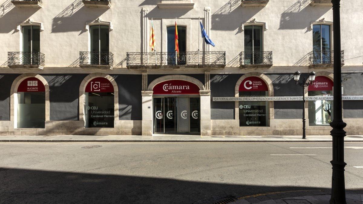 Acuerdos Consensuados: El Comité Ejecutivo de la Cámara de Alicante Aclara su Proceso Decisorio
