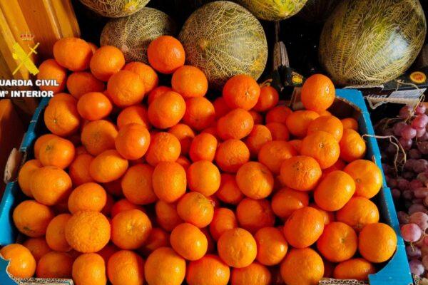Proveedor bajo investigación por falsificación de albaranes en venta de fruta fuera de temporada
