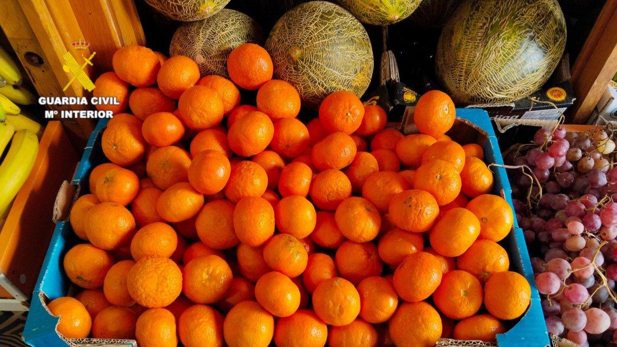 Proveedor bajo investigación por falsificación de albaranes en venta de fruta fuera de temporada