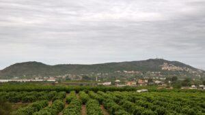 Torrent incrementa su patrimonio forestal con la adquisición de una finca de 58 hectáreas en la Serra Perenxisa