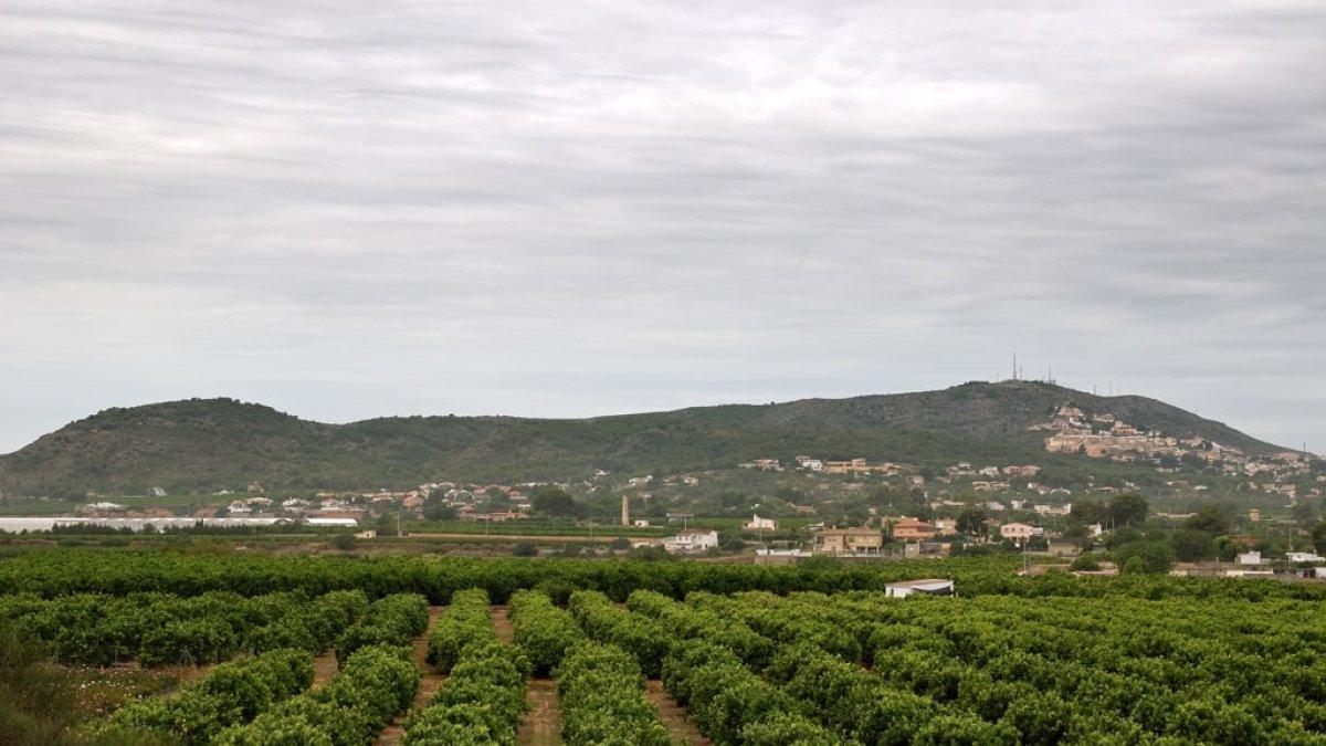 Torrent incrementa su patrimonio forestal con la adquisición de una finca de 58 hectáreas en la Serra Perenxisa