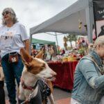 Festival de adopción en Castellón: miles de familias apoyan la causa de los animales abandonados