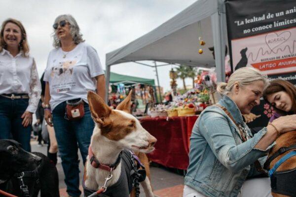 Festival de adopción en Castellón: miles de familias apoyan la causa de los animales abandonados
