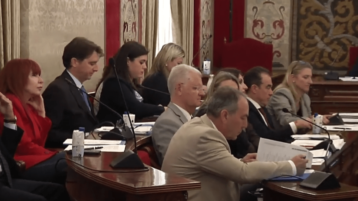 El PP se distancia de Vox en Alicante y se une a la izquierda en la votación sobre la "prioridad nacional"