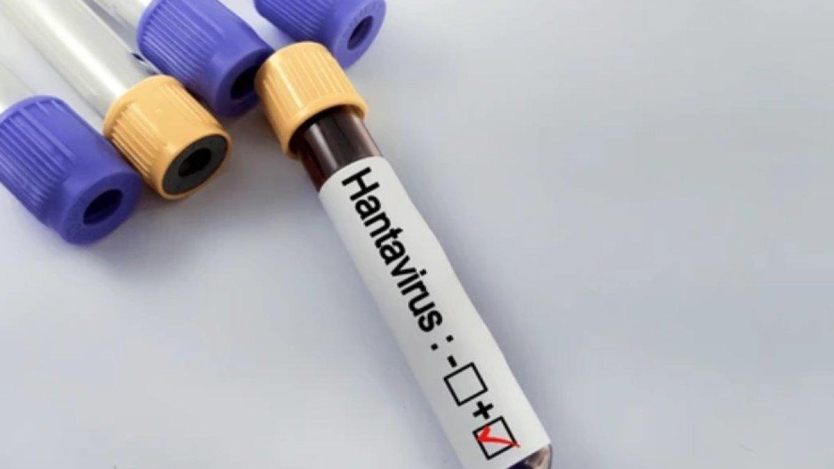 Hantavirus en Alicante: El Centro Nacional de Microbiología examina la última muestra para confirmar su resultado negativo