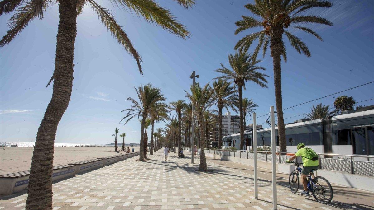 Descubre la Playa de San Juan en Alicante: 40 años de Bandera Azul y Belleza Natural