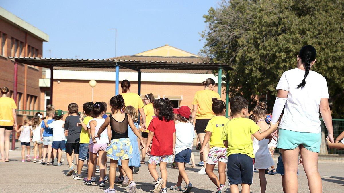 Inscripción en la Escola d'Estiu de Puçol: Fechas, Horarios y Requisitos Esenciales